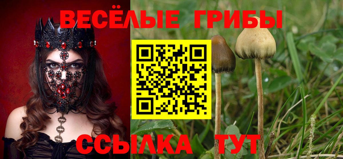 Ярцево  Псилоцибиновые грибы Magic Shrooms  закладка  Вход с VPN 